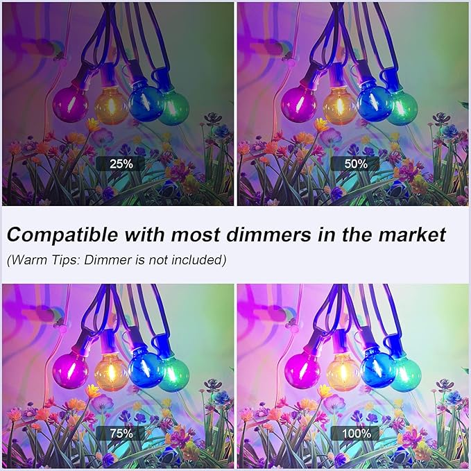 25Ft LED Outdoor String Lights, G40 Outdoor Christmas Decorations Lights Waterproof with 27 LED Globe Multicolor Bulb, Hanging Vintage Christmas Lights for Patio Roofline Backyard Garden Party Decor