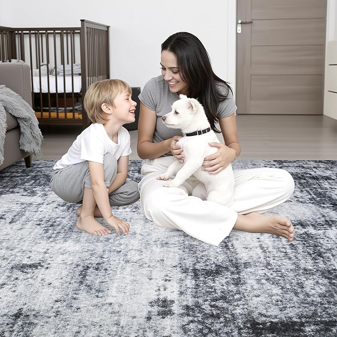 9x12 Area Rug Living Room Rug: Washable Modern Abstract Soft Thin Rug Indoor Floor No Slip Stain Resistant Carpet for Bedroom Dining Room Farmhouse Nursery Home Office - Dark Black