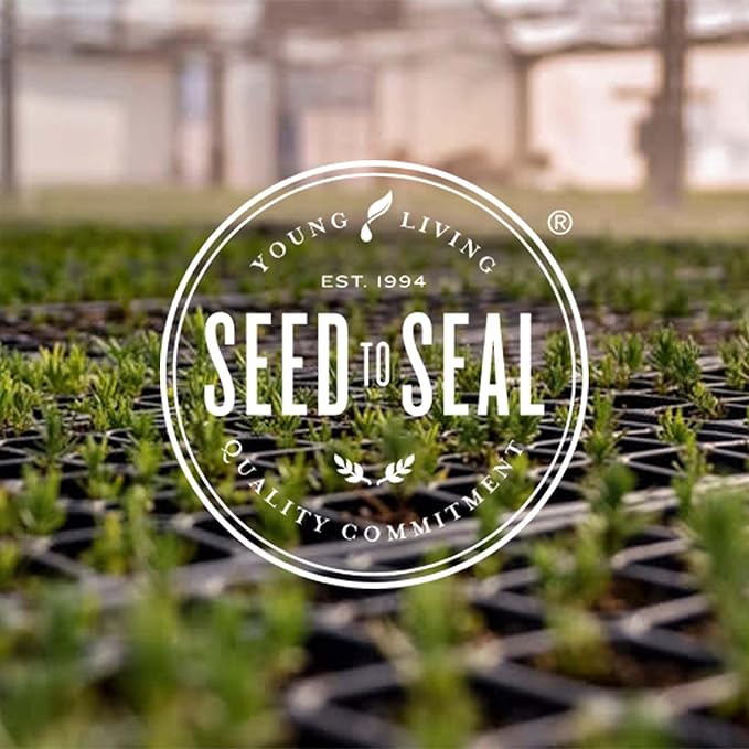 KidScents SleepyIze Essential Oils Blend by Young Living, 5 Milliliters, Topical and Aromatic