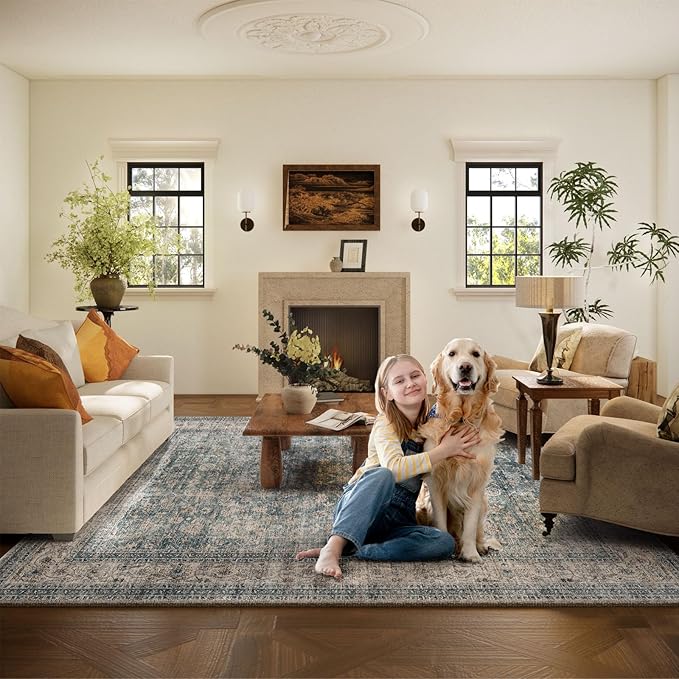 Machine Washable Living Room Rug: 6x9 Area Rugs for Bedroom Vintage Stain Resistant Non Slip Low Pile Lightweight Boho Carpet for Kitchen Dining Room Farmhouse Kids Room Nursery
