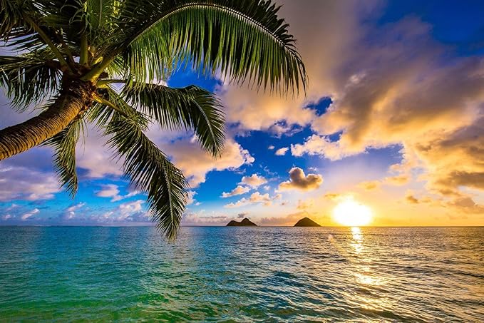 Sunset Seascape Wallpaper Palm Tree Beach Wall Mural for Living Room Bedroom Dining Room Basement(Not Self-Adhesive)