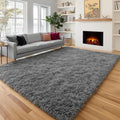PAGISOFE 8x10 Living Room Rug Grey, Soft Large Rugs by PAGISOFE