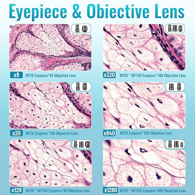 Microscope for Kids Starter Adults 64X-1280X Metal Monocular Microscope for Students School Home Education LED Lights Phone Holder Microscope Kit