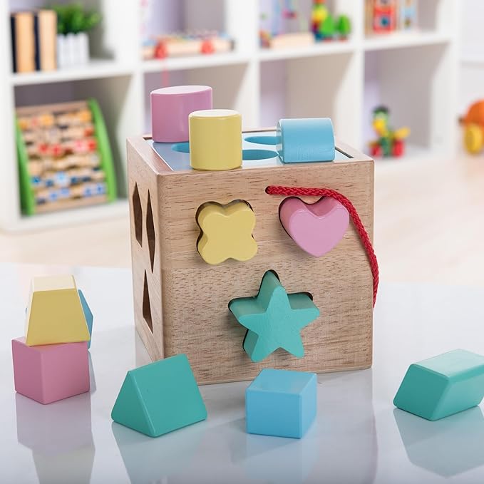 Shape Sorter Toddler Toy Classic Wooden Toy for Baby Boys & Girls Learning Educational Color Sorting Cube Toys for Kids