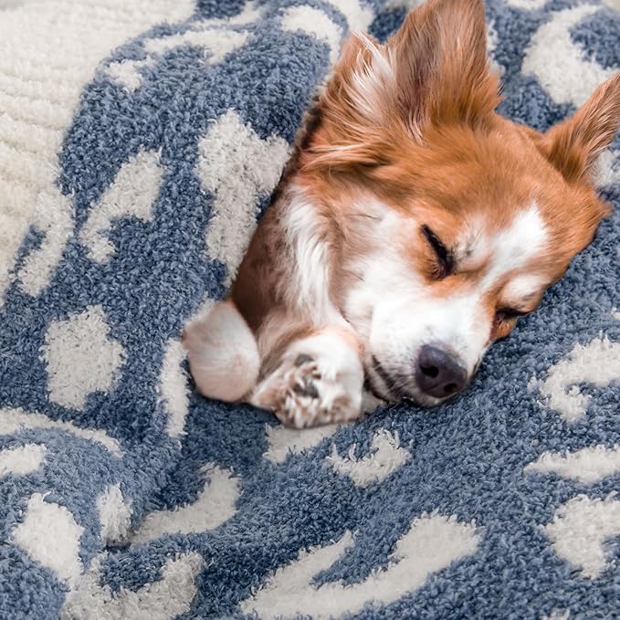 NEXHOME PRO Leopard Soft Blanket, Fuzzy Throw Blanket for Couch Bed Sofa Picnic, Knit Blankets for Women Gifts Blue 50 x 60 inches