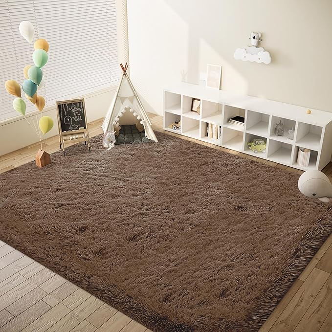 6x9 Area Rug for Living Room: Fluffy Shag Soft Washable Rugs Large Fuzzy Plush Indoor Carpet for Bedroom Nursery Playroom Kids Girls Boys Room (Coffee, 6'x9')