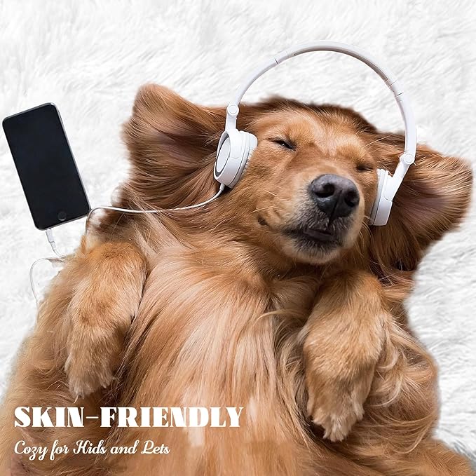 5x7 Area Rug for Living Room: Fluffy Shag Soft Washable Rugs Fuzzy Plush Indoor Carpet for Bedroom Nursery Playroom Dorm Kids Girls Boys Room (White, 5'x7')