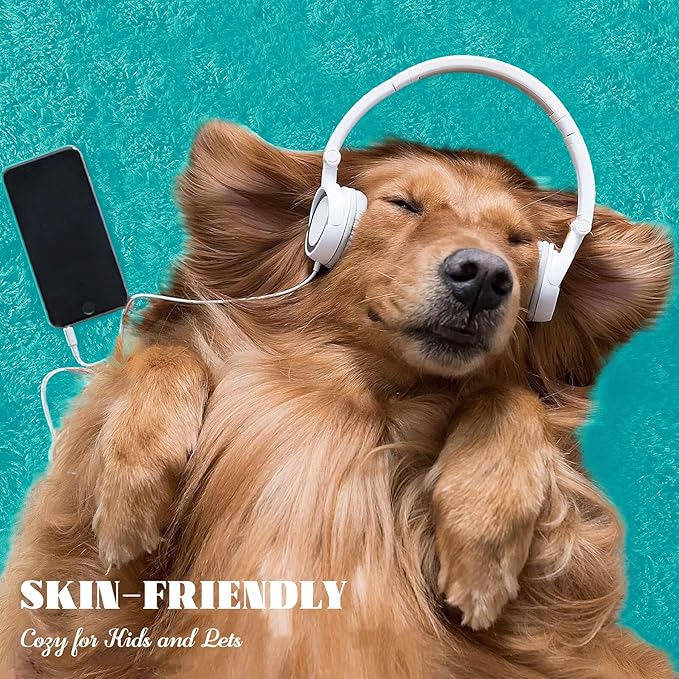 6x9 Area Rug for Living Room: Fluffy Shag Soft Washable Rugs Large Fuzzy Plush Indoor Carpet for Bedroom Nursery Playroom Kids Girls Boys Room (Teal Blue, 6'x9')