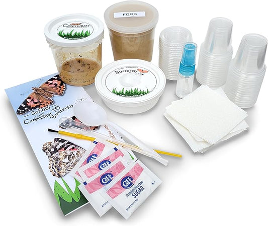 32 Live Caterpillars Shipped Now: Butterfly Kit Refill for School Sized Kit with Extra Larva Rearing Supplies and 32 Little Cups by Nature Gift Store
