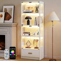 Lamtor 67-inch Glass Display Cabinet – Curio Cabinet by Lamtor