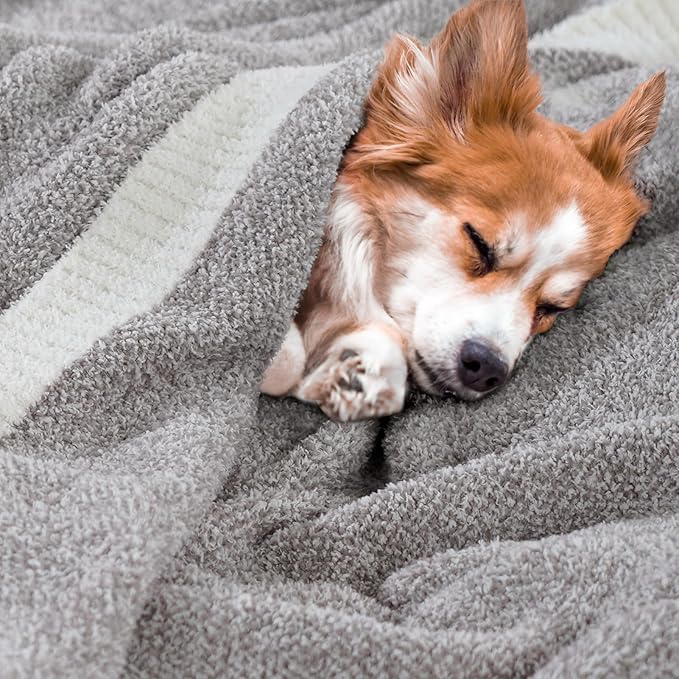 NEXHOME PRO Super Soft Throw Blankets for Couch, Reversible Warm Blankets Cozy Knit Blanket for Women, Fuzzy Plush Lightweight Throws for Sofa, Bed, Picnic, Taupe Grey, 50 x 60 inches