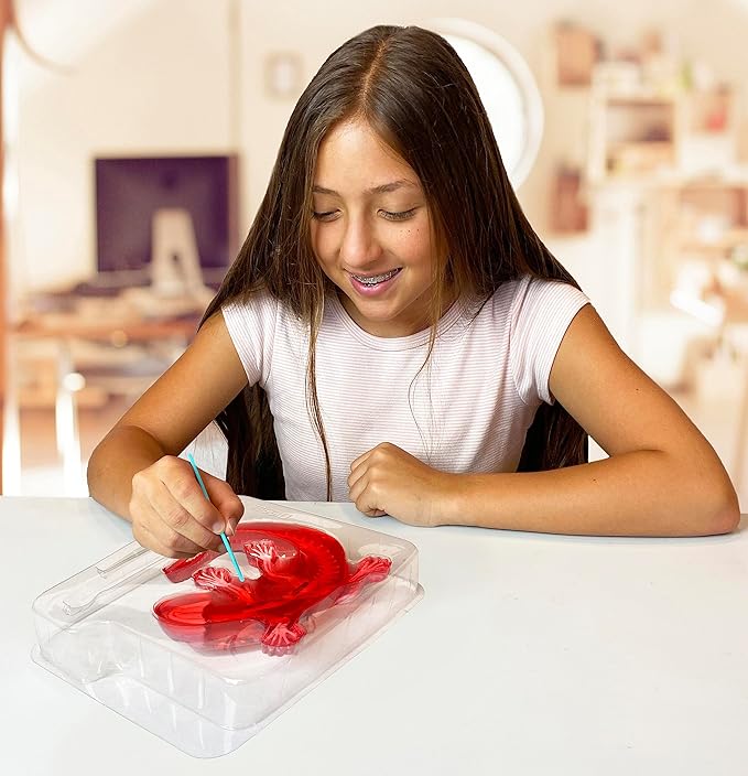 Dissect-It Kit for Kids, Simulated Synthetic Lab Dissection Toy, Salamander STEM Toys for Animal Science, Biology, and Anatomy