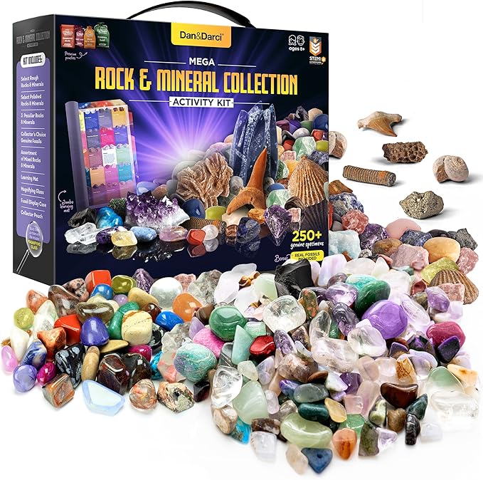 Dan&Darci Rock Collection for Kids - Includes 250+ Bulk Rocks, Gemstones & Crystals + Genuine Fossils and Minerals - 2 Lbs. - Geology Earth Science STEM Toys Activity, Gifts for Boys & Girls Ages 6+