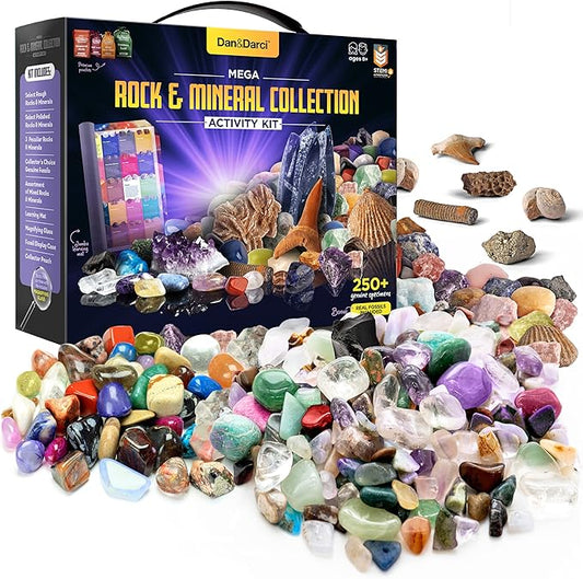 Dan&Darci Rock Collection for Kids - Includes 250+ Bulk Rocks, Gemstones & Crystals + Genuine Fossils and Minerals - 2 Lbs. - Geology Earth Science STEM Toys Activity, Gifts for Boys & Girls Ages 6+