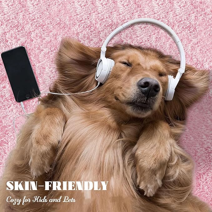 4x6 Area Rug for Living Room: Fluffy Shag Soft Washable Rugs Fuzzy Plush Indoor Carpet for Bedroom Nursery Playroom Dorm Kids Girls Boys Room (Pink, 4'x6')