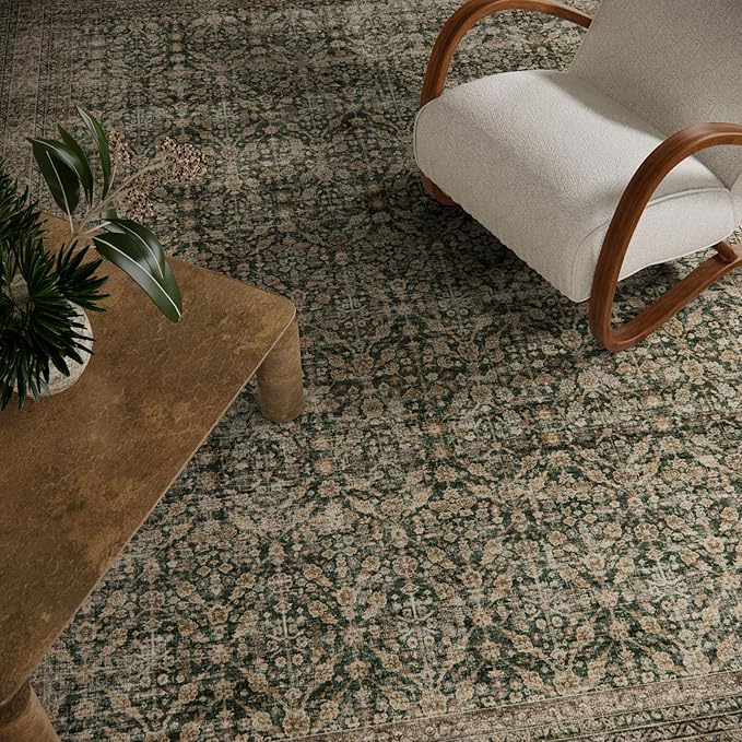 Machine Washable Rugs for Living Room: 5x7 Area Rugs Boho Vintage Rugs Stain Resistant Non Slip Low Pile Soft Lightweight Carpet for Bedroom Kitchen Dining Room Nursery Kids Room Farmhouse