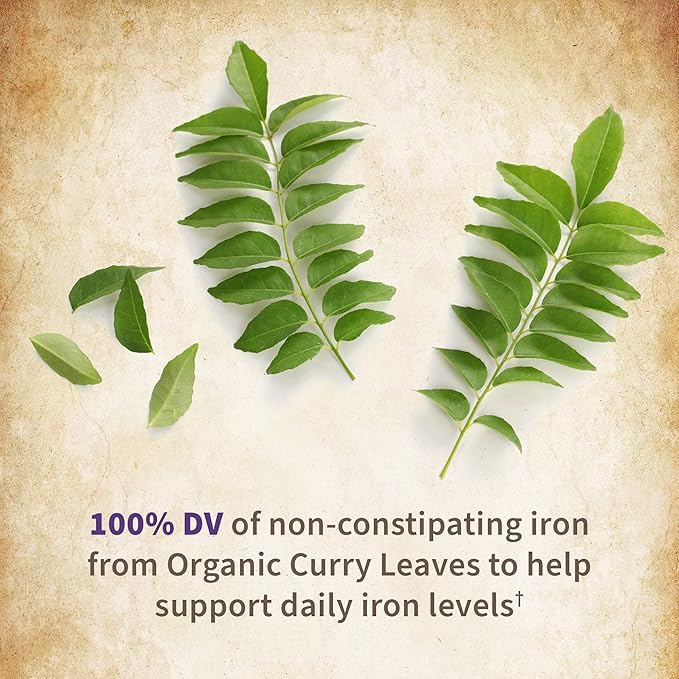 Garden of Life Organics Women’s Prenatal Multivitamin with Vitamin D3, B6, B12, C & Iron, Folate for Energy & Healthy Fetal Development – Organic, Non-GMO, Gluten-Free, Vegan, 90 Day Supply