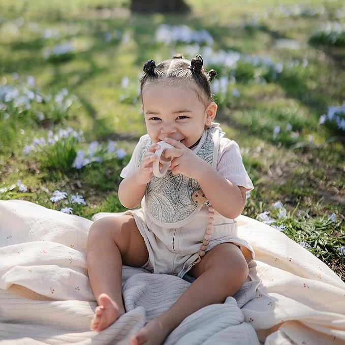 mushie Silicone Baby Fresh Fruit & Food Feeder Pacifier | 6 Months+ (Cambridge Blue)